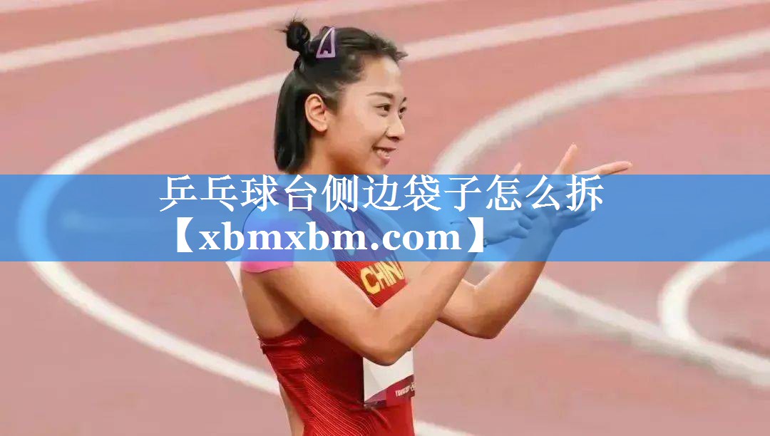 乒乓球台侧边袋子怎么拆